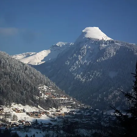 La Halte Du Moulin Seytroux